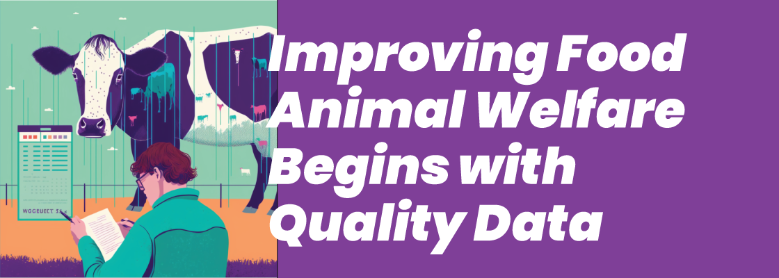 Improving Food Animal Welfare Begins with Quality Data – 